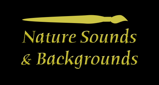 Nature Sounds & Backgrounds